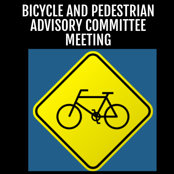 Copy of Website News Flash Template