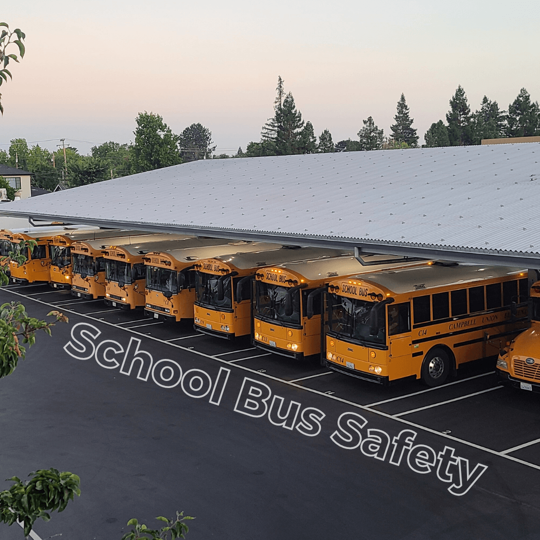 School Bus Safety in text with a row of school buses in the background.